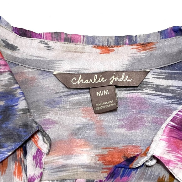 Charlie Jade 100% SILK Woman Abstract Print Art Deco Button Down Blouse Size M - Picture 9 of 12